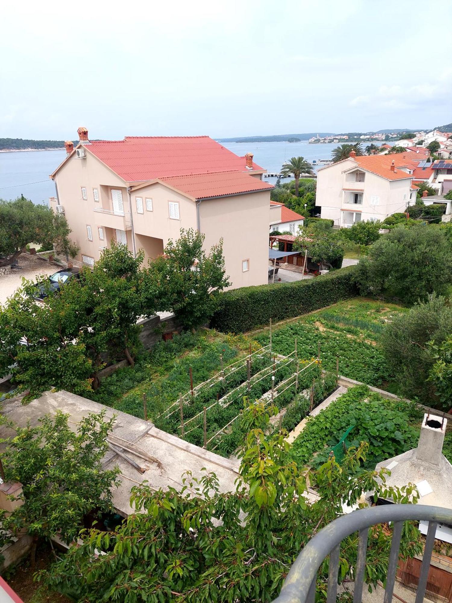 Apartment Olive House Rab Barbat na Rabu Oda fotoğraf